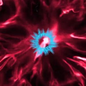 Meet your Posher, Kameron